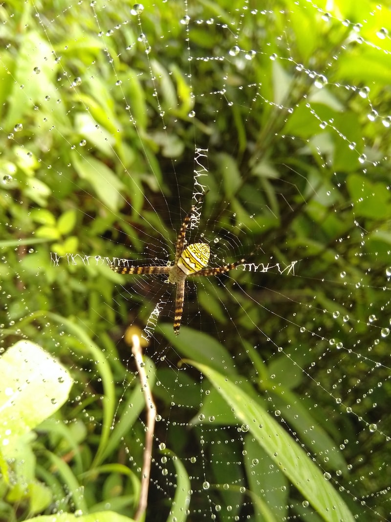 Asya ve Afrika’daki sömürgecilik faaliyetleri ve bağımsızlık mücadeleleri çerçevesinde meydana gelen olaylar 
