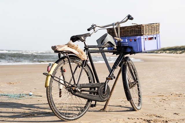 İnsan faaliyetlerinin karbon, azot, oksijen ve su döngülerine olan etkileri 