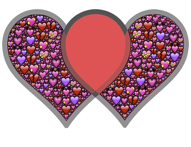 Komünitede türler arasında simbiyotik ilişkiler 