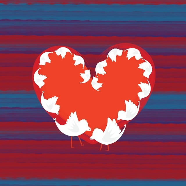 Toplumsal birlik ve beraberliğin sağlanmasında ortak değerlerin önemi 