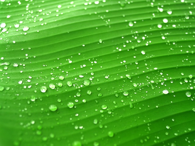 Üreme sisteminin sağlıklı yapısının korunması için yapılması gerekenler 