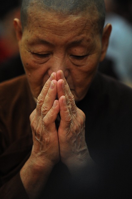 Yerel, milli ve evrensel düzeyde kültürel farklılıklara saygı 